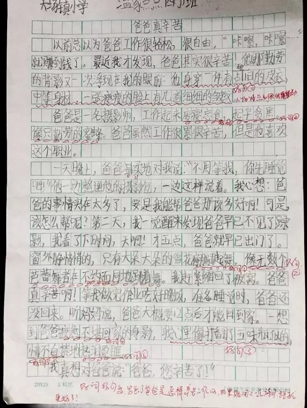 最温暖的一篇作文《摄影师爸爸真辛苦》